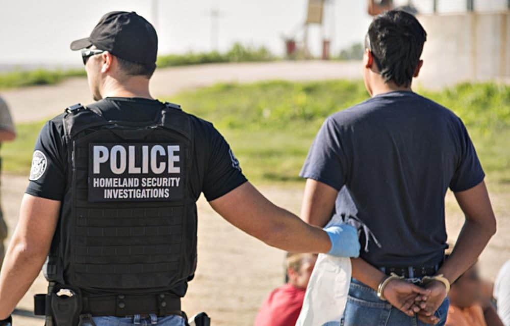 immigration impact citizens detained aggressive dragnet